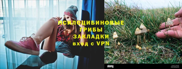 спиды Арсеньев