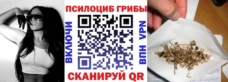 blacksprut ONION  Тавда  Псилоцибиновые грибы Cubensis 